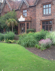 Library-rear