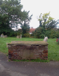 Cutlass Stone