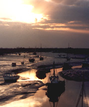 Overlooking the Estuary in Old Leigh